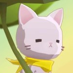 Dear My Cat
